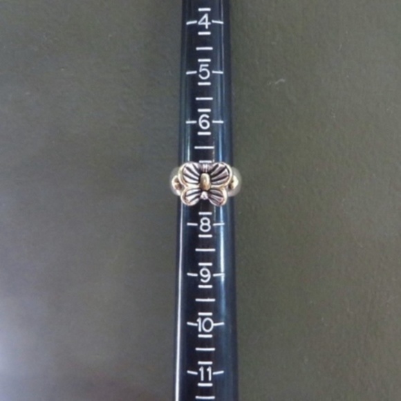 SAINT BY SARAH JANE - Picture 6 of 7